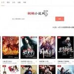 简约轻量级小说网站自动采集源码+手机端自适应-小雨资源网