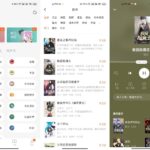 安卓 番茄免费小说 v5.2.7.32 去广告解锁VIP会员版-小雨资源网